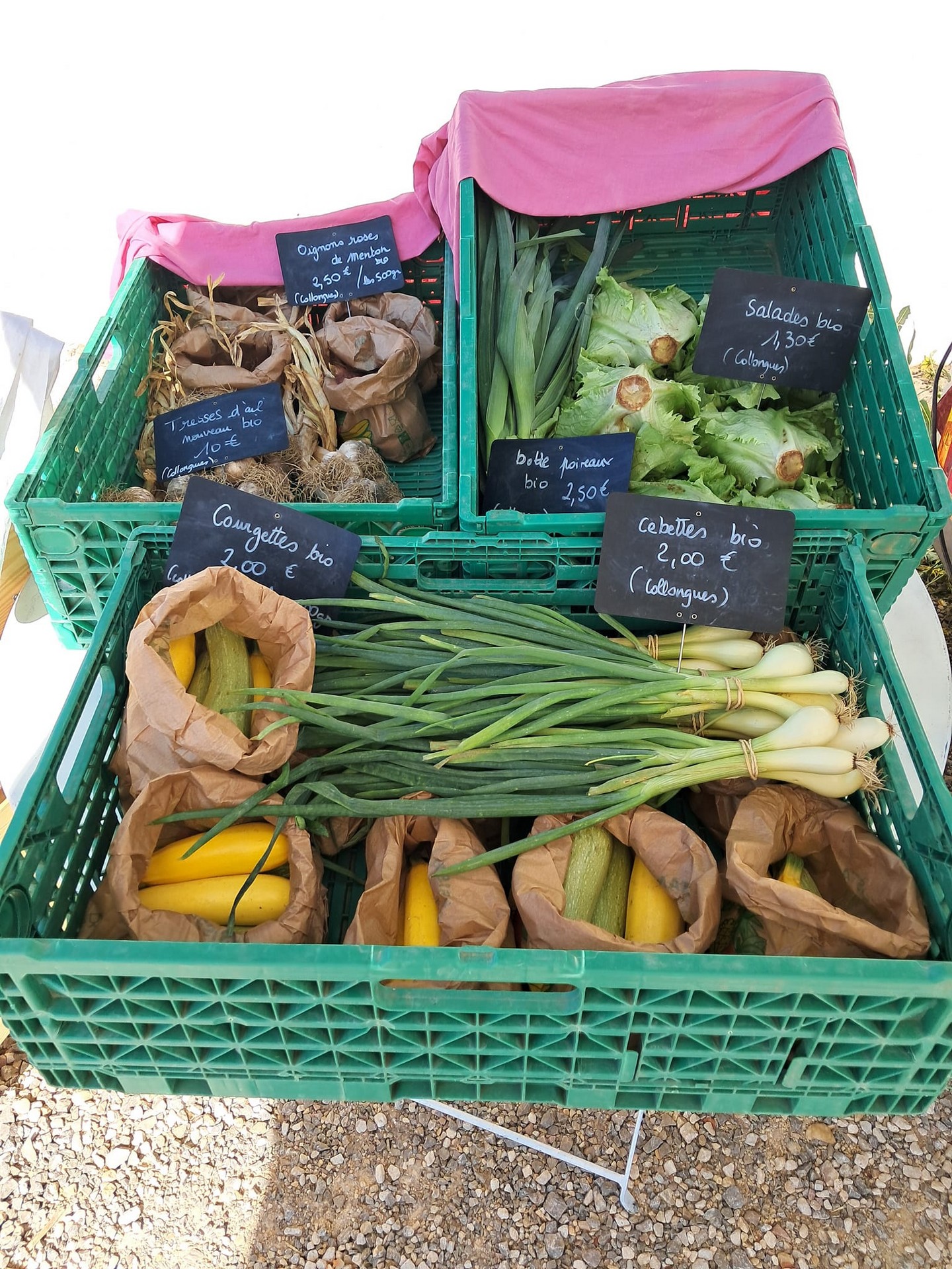 Légumes du pays - Marché du Logis du Pin