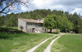 Le chemin d'accès - Le gîte DELFINO