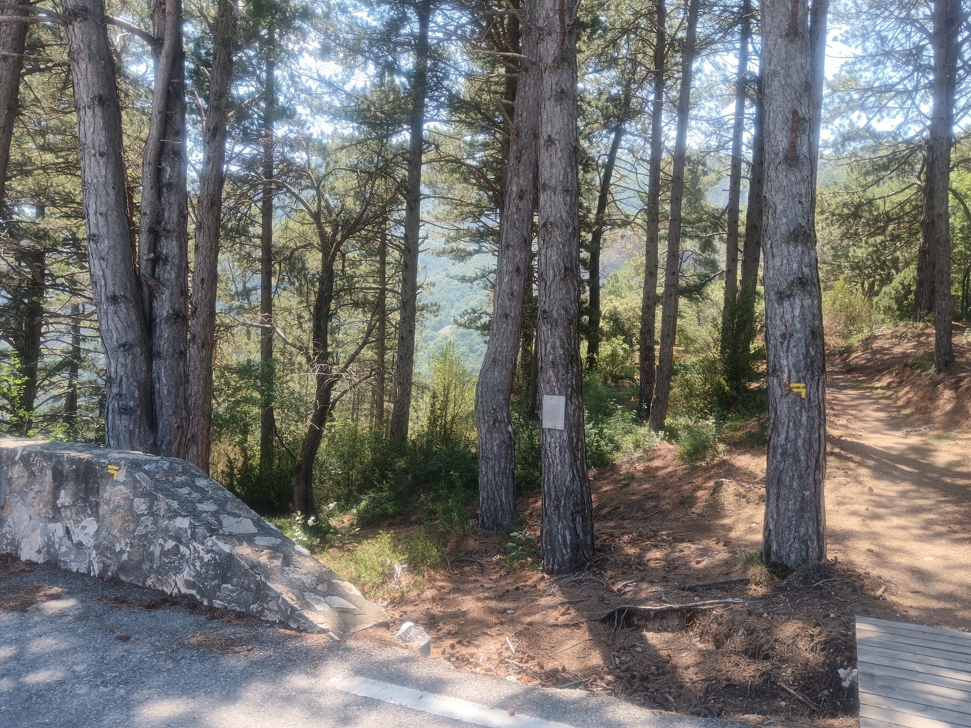 Départ du col - Sentier du col d'Illoire