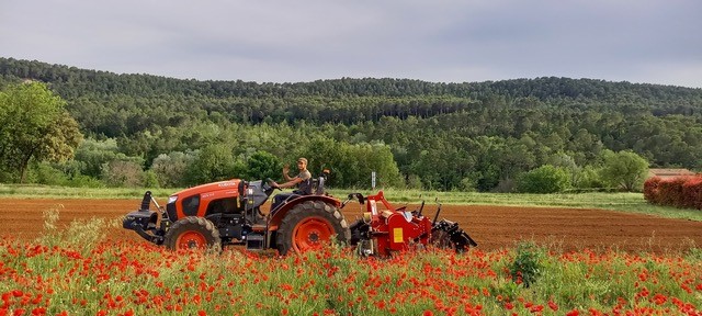 champ de récolte - Les Jardins de Barbebelle